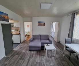 Appartement T3, cosy, climatisé, équipé avec goût