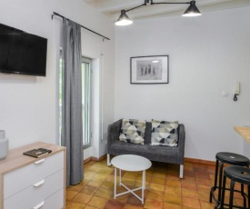 Bright studio near the Popes Palace in Avignon - Welkeys