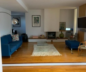 Large flat in the heart of Avignon