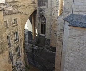 Palais des papes appartement terrasse