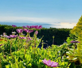 Vue mer panoramique et piscine