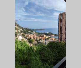 Vue mer Monaco