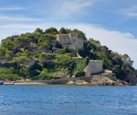 Bormes les Mimosas, Hameau de Cabasson, à 400m de la mer et du fort de Bregançon, Villa classée 3 étoiles, de 2 à 8 personnes