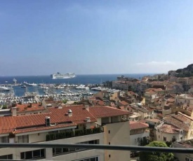 Bel Appartement dernier étage - climatisé avec vue mer - Cannes Centre