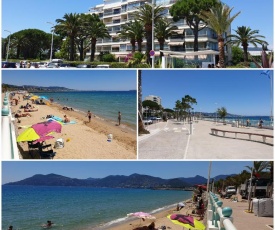 Garden and beach sea view apartment Cannes