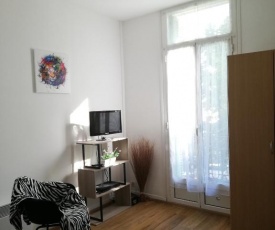 Appartement Le Cernuschi 2D