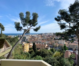 NICE, GRAND STUDIO - PISCINE - TERRASSE VUE MER