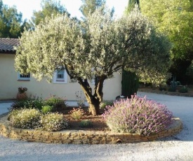 Maison privée au calme dans Mas provencal